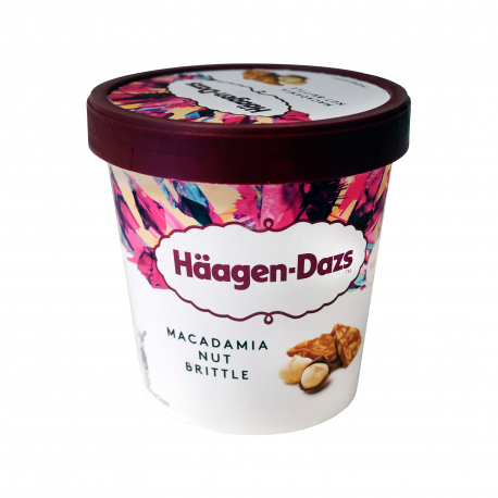Haagen Dazs παγωτό οικογενειακό macadamia nut brittle (0.4kg)