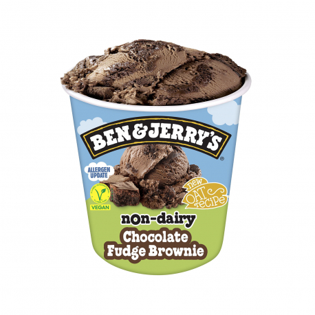 BEN & JERRY'S ΠΑΓΩΤΟ ΟΙΚΟΓΕΝΕΙΑΚΟ NON DAIRY CHOCOLATE FUDGE BROWNIE (387g)